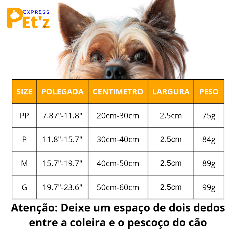 Coleira de cão com leds coloridos - Petz Express